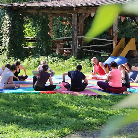 Gæstehus Birkenhof Ashram Familien Blockhuetten *
