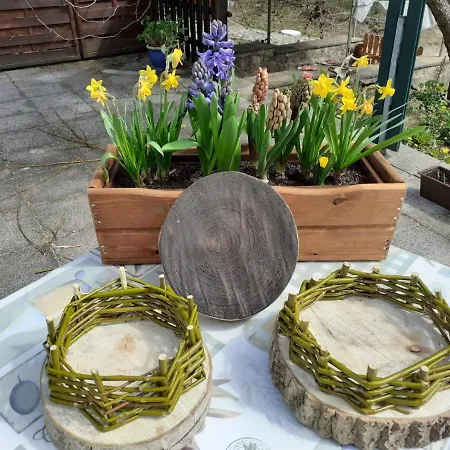 Gæstehus Birkenhof Ashram Familien Blockhuetten *