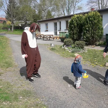 Birkenhof Ashram Familien Blockhuetten Penzion Hartau