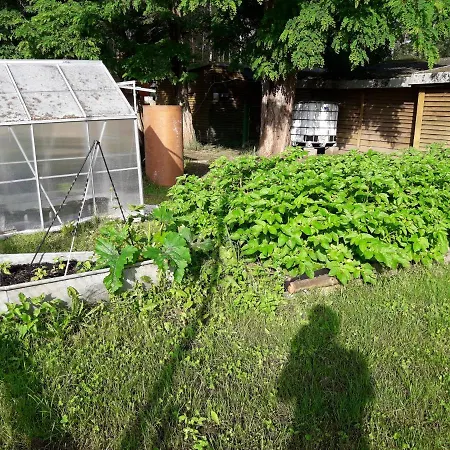 Gæstehus Birkenhof Ashram Familien Blockhuetten *